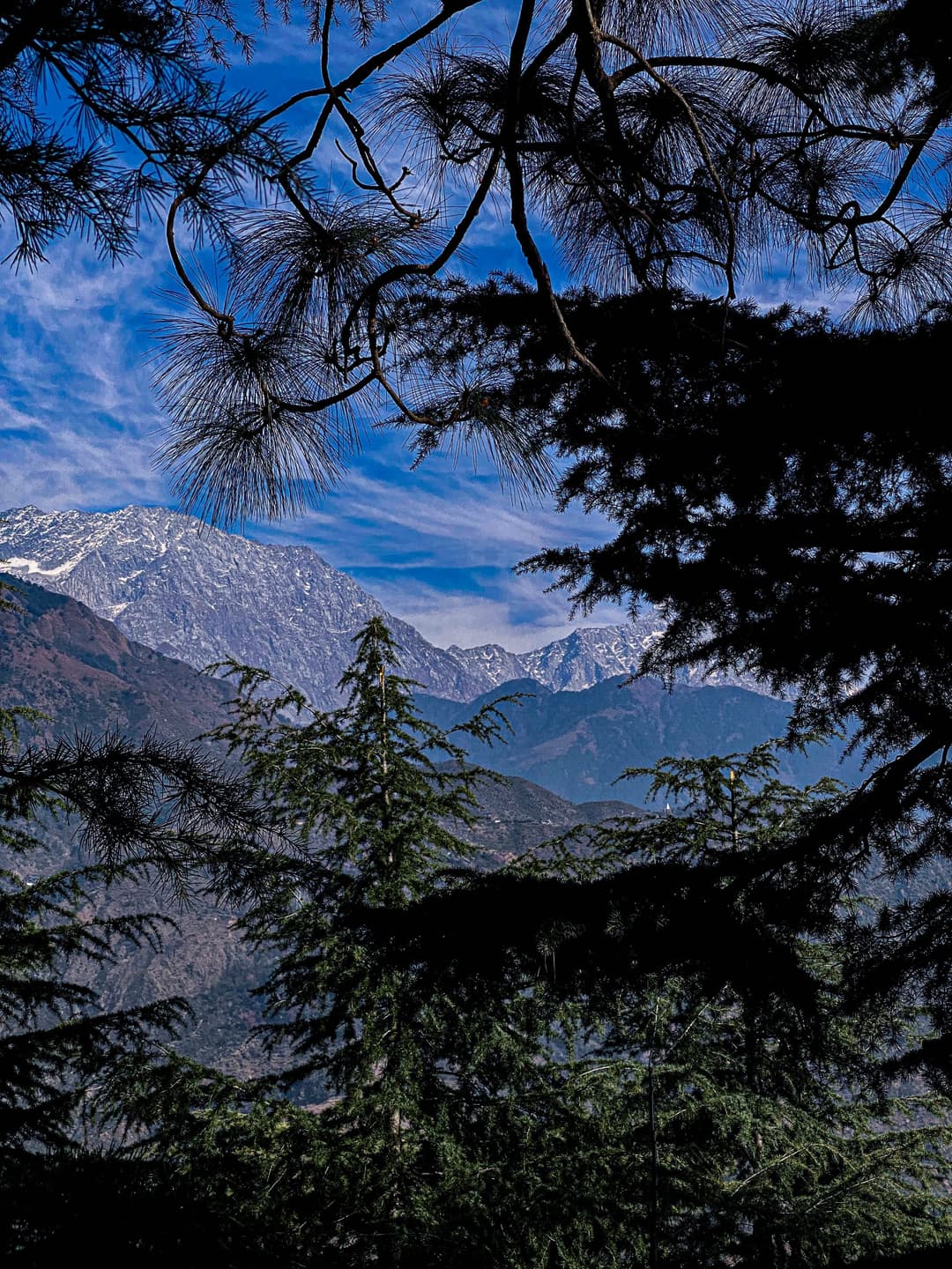 Dhauladhar Mountains - Scenic Himalayas