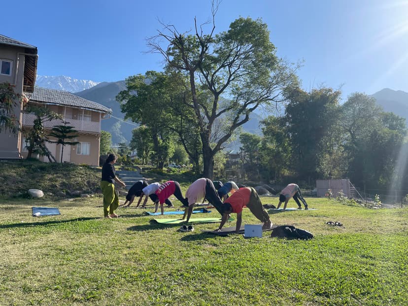 Yoga and Wellness in Himalayas