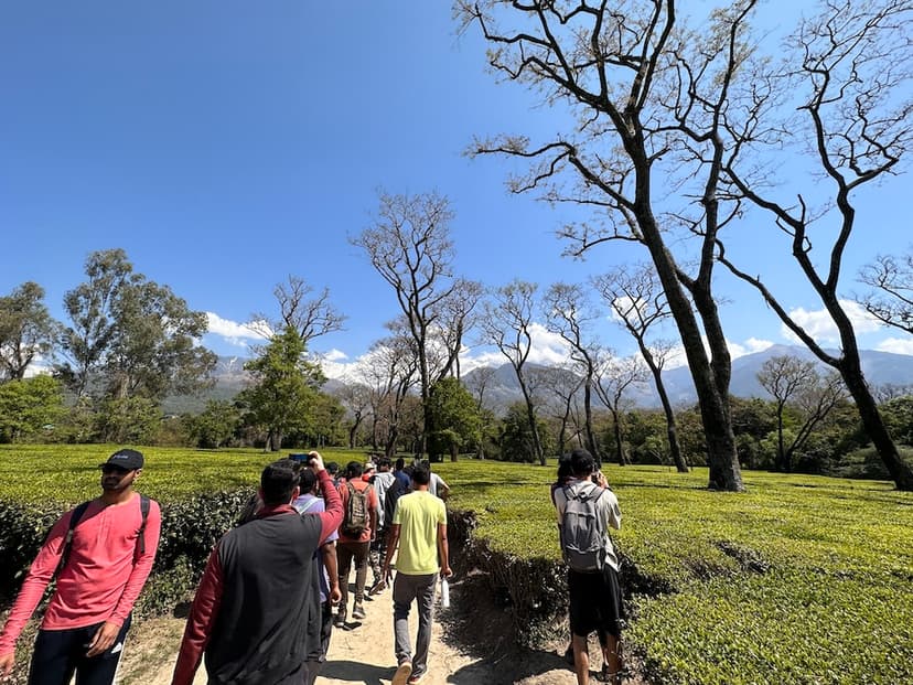Village walks in Dharamshala